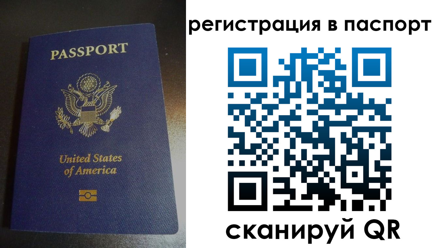 прописка для школы в Пласте